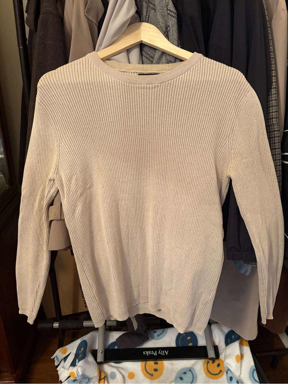 Zara Crewneck Ribbed Sweater in Light Beige
